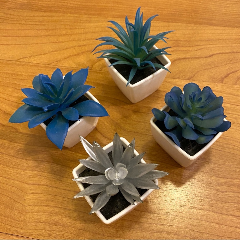 Faux Succulent Plants - Set of 4